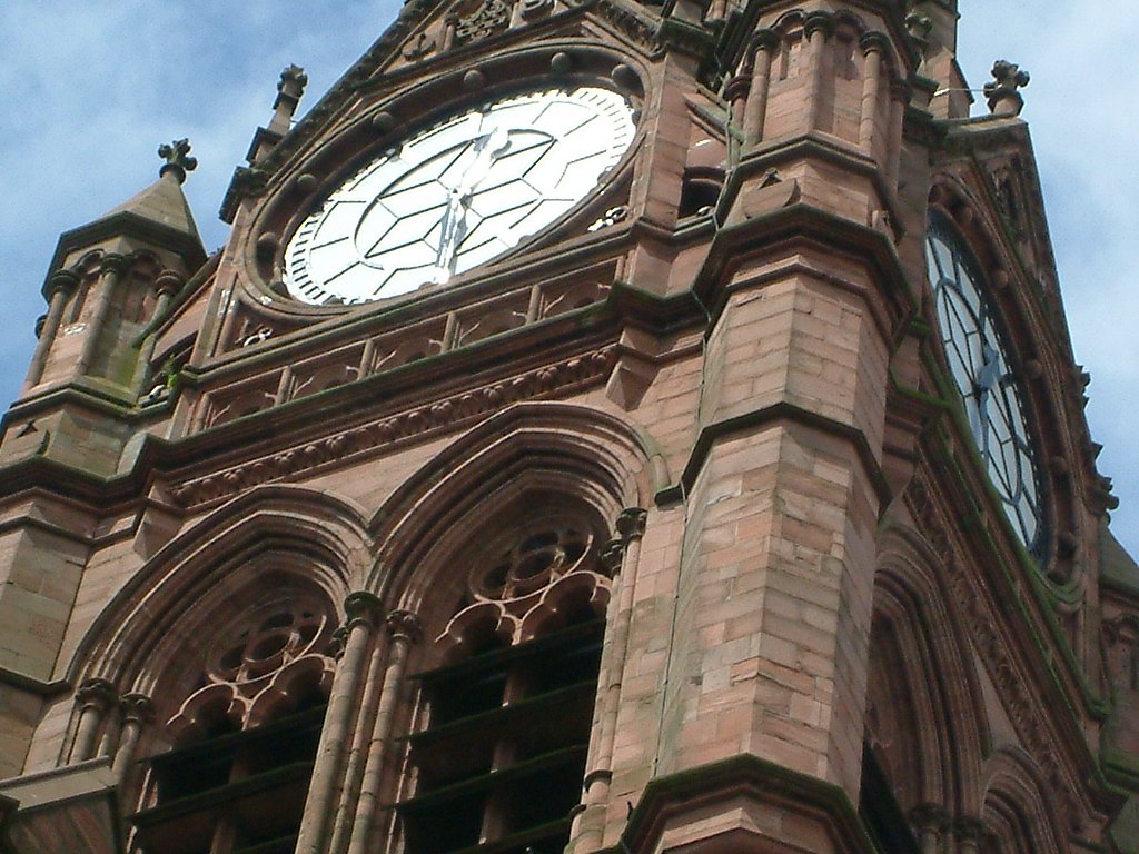 Click now to see this image full size.