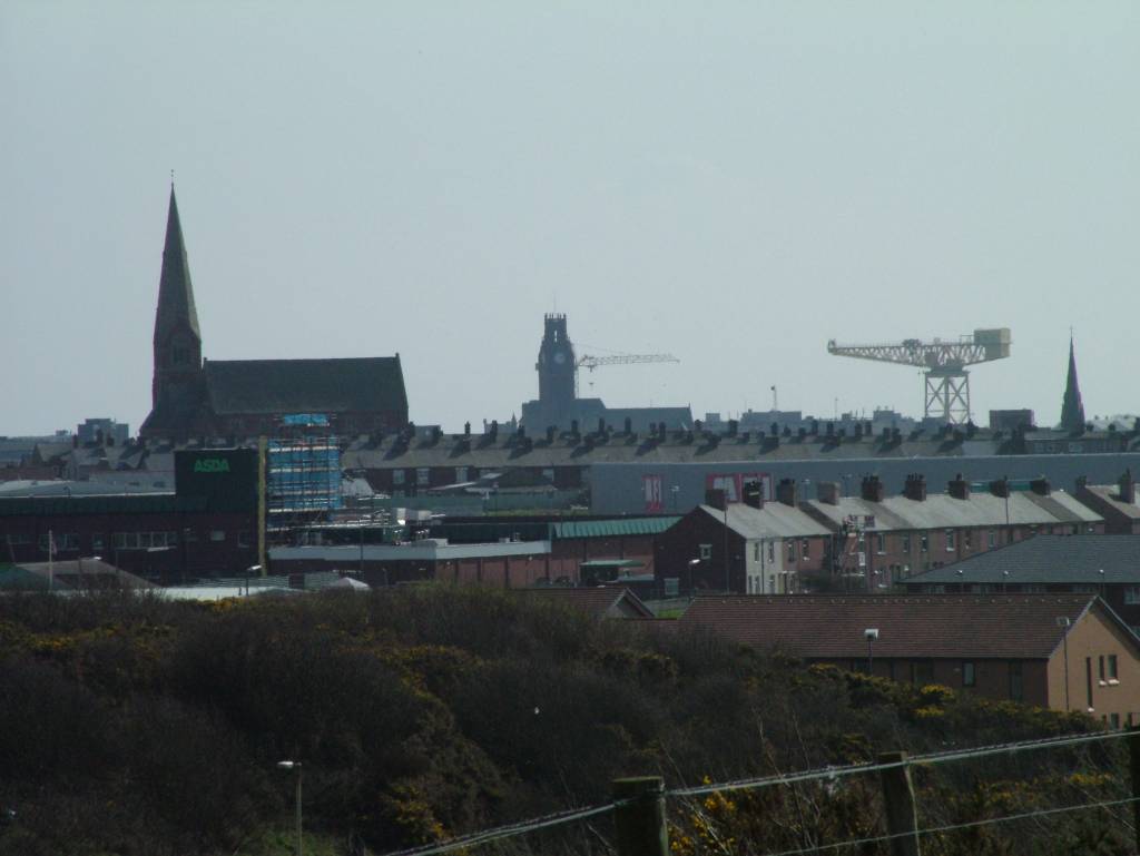 Click now to see this image full size.