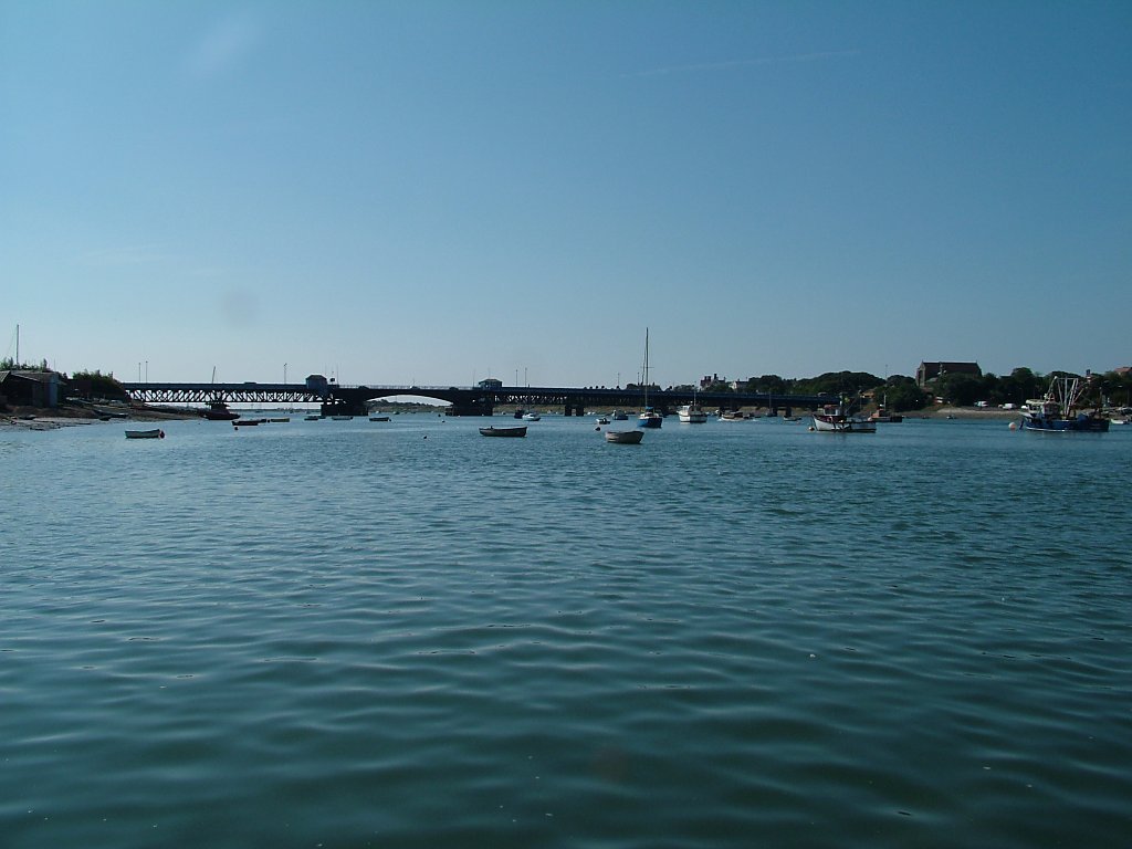 Click now to see this image full size.