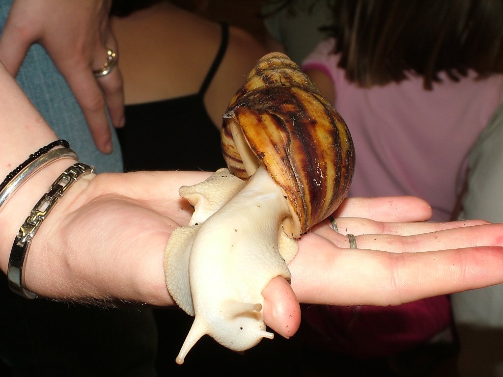 Click now to see this image full size.