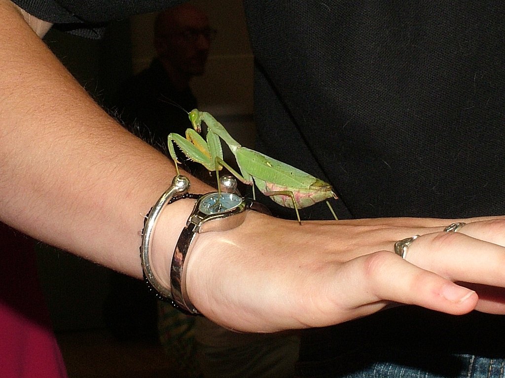 Click now to see this image full size.