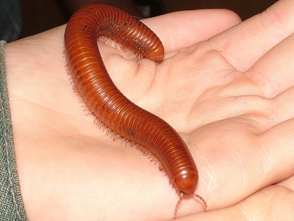 Click now to see this image full size.