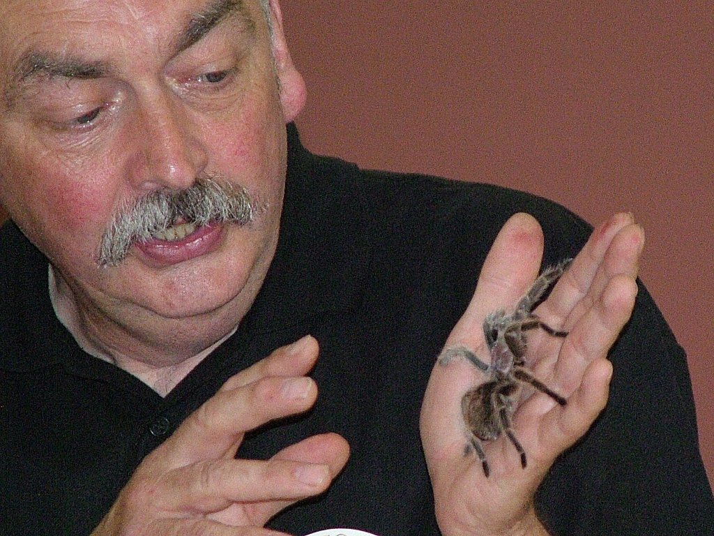 Click now to see this image full size.