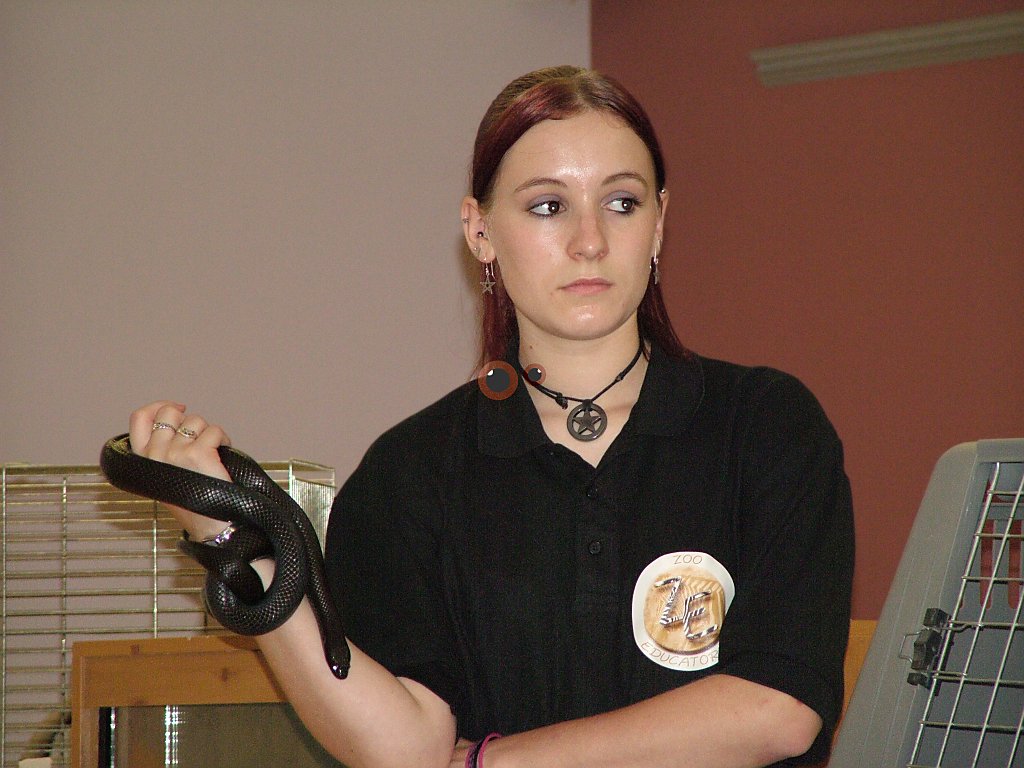 Click now to see this image full size.