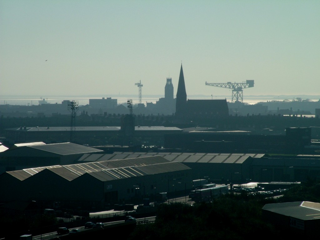 Click now to see this image full size.