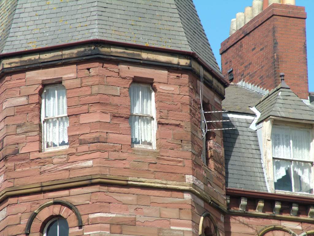 Click now to see this image full size.