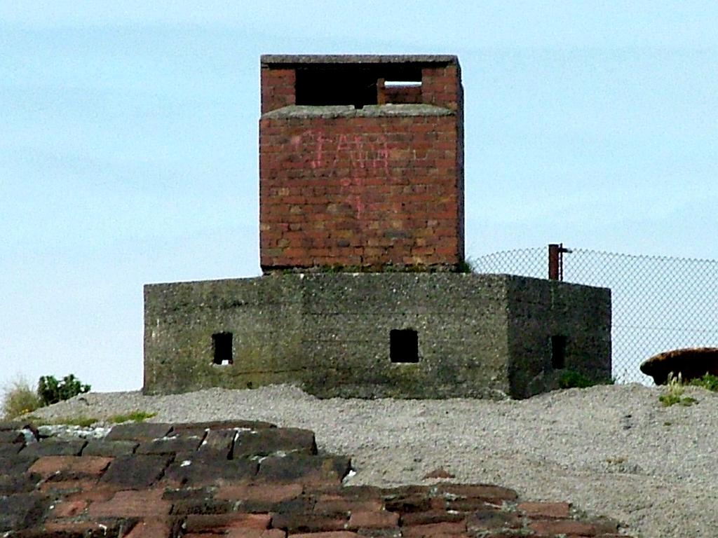 Click now to see this image full size.