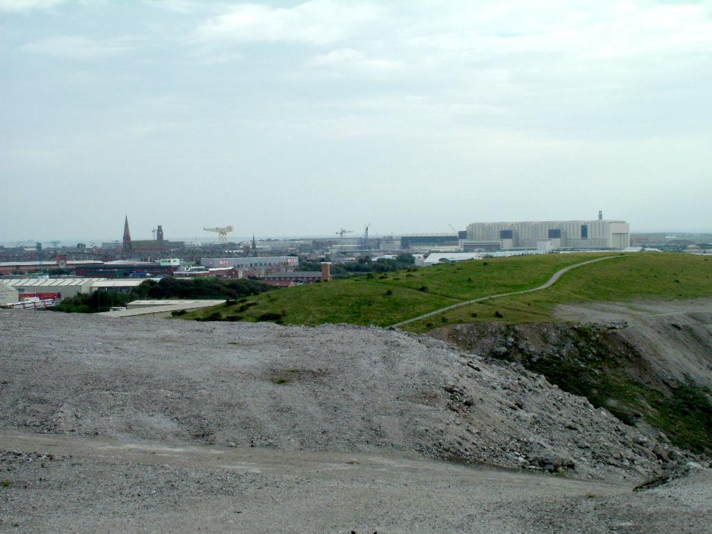 Click now to see this image full size.