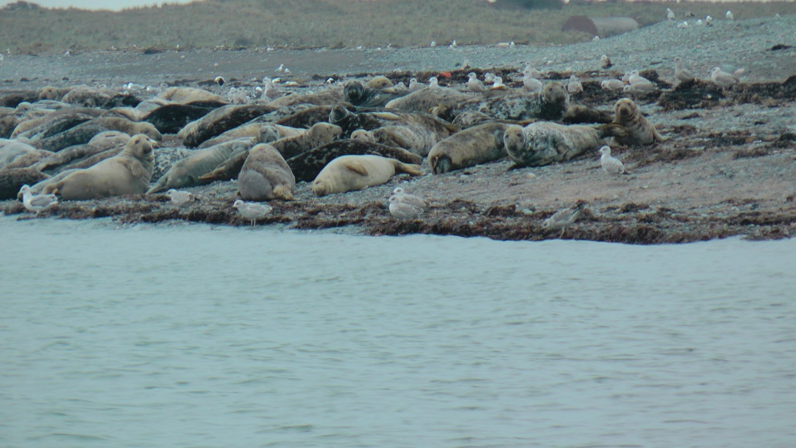 Click now to see this image full size.