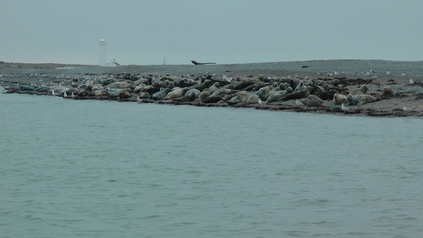 Click now to see this image full size.