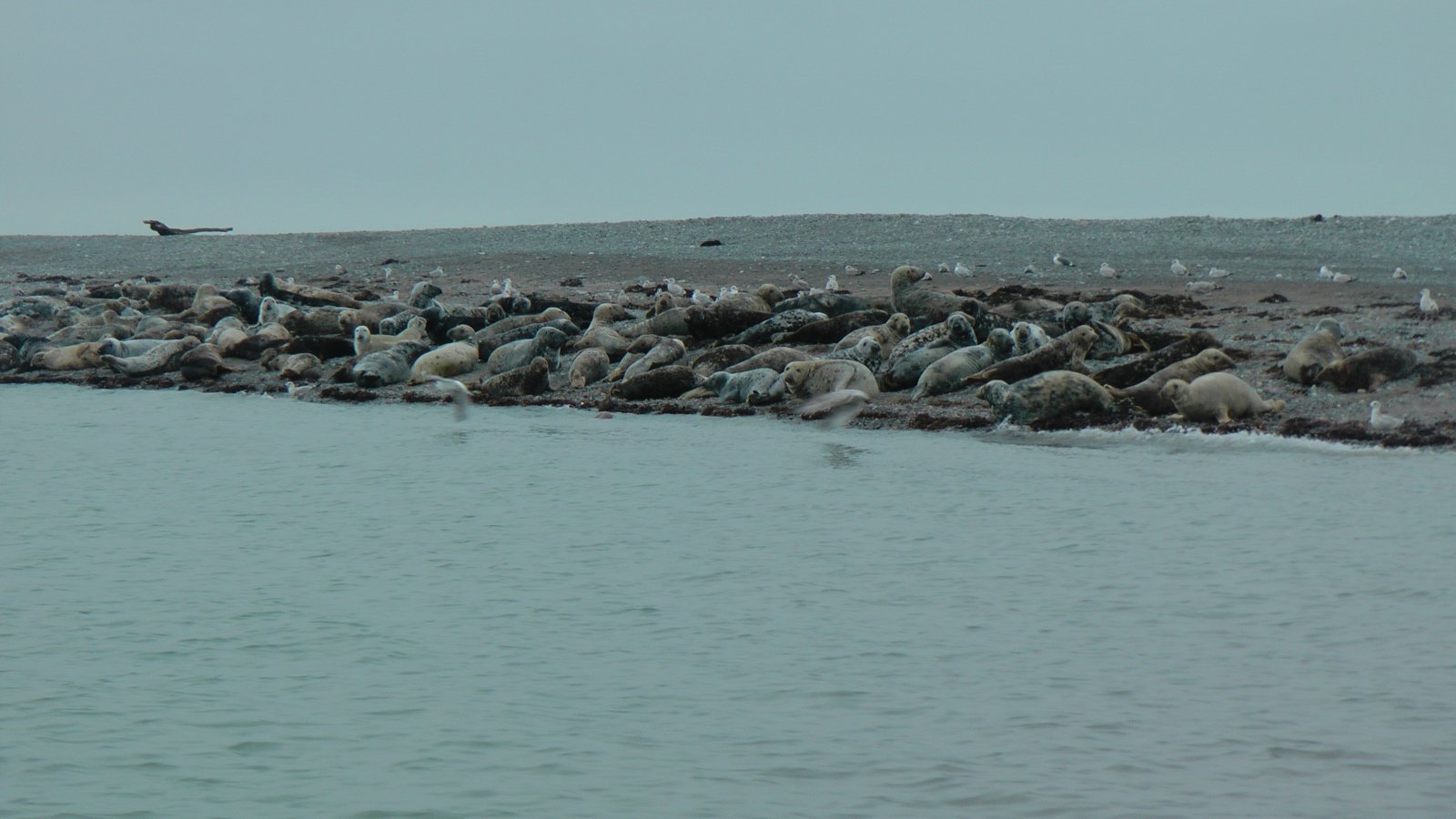 Click now to see this image full size.