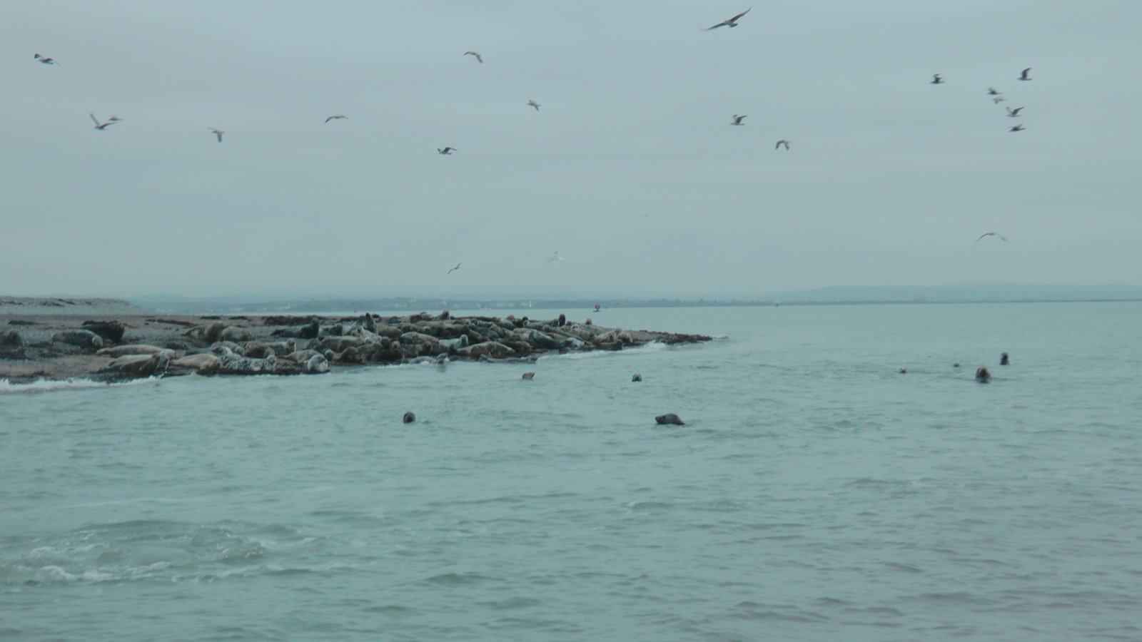 Click now to see this image full size.