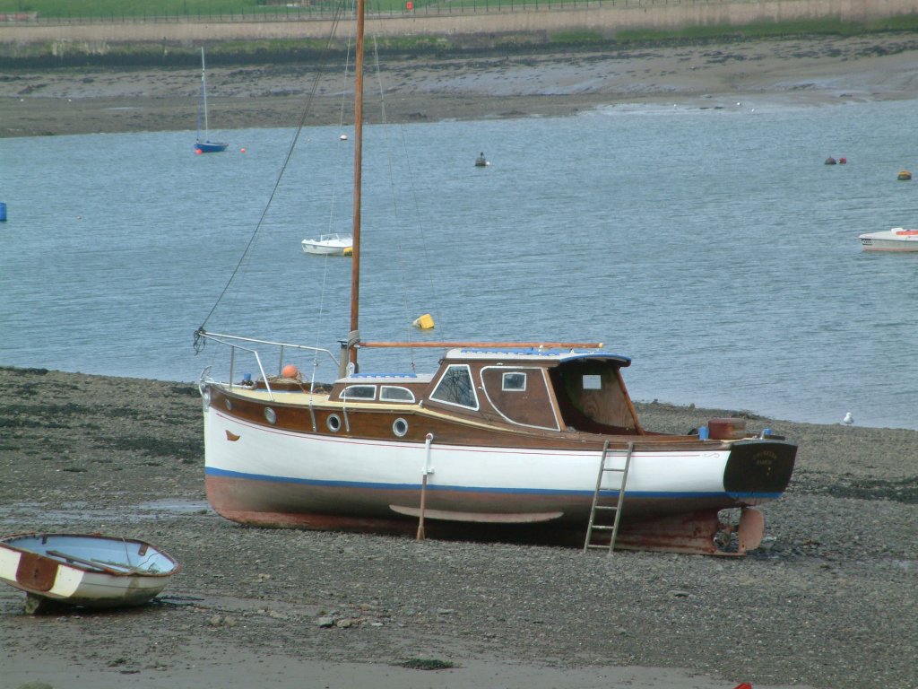 Click now to see this image full size.