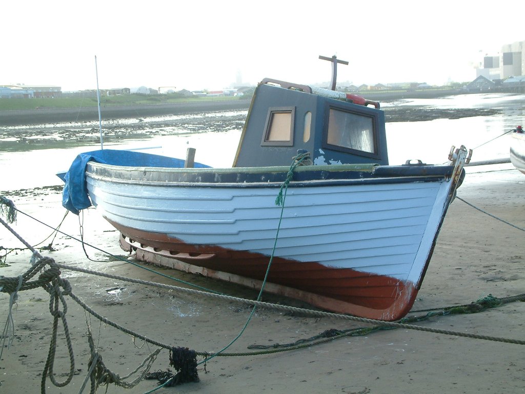 Click now to see this image full size.