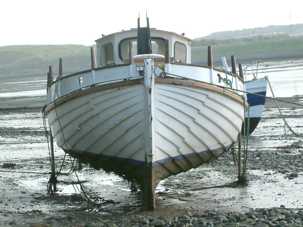 Click now to see this image full size.