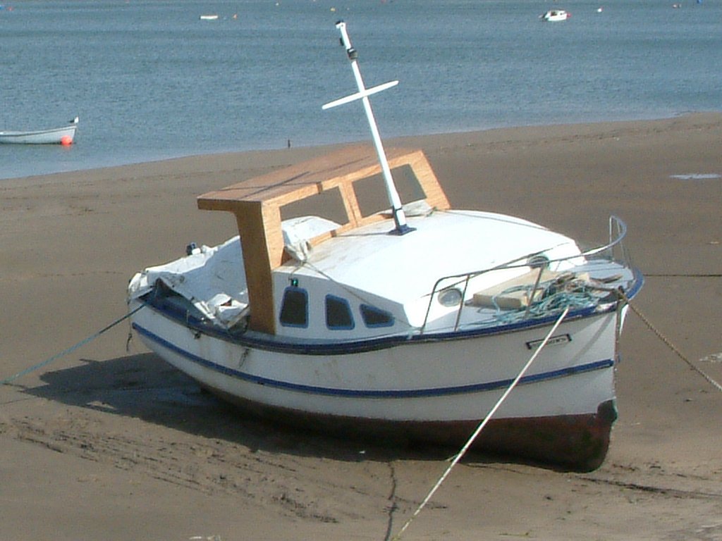 Click now to see this image full size.