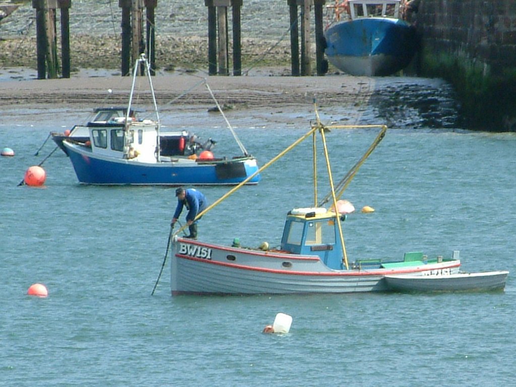 Click now to see this image full size.