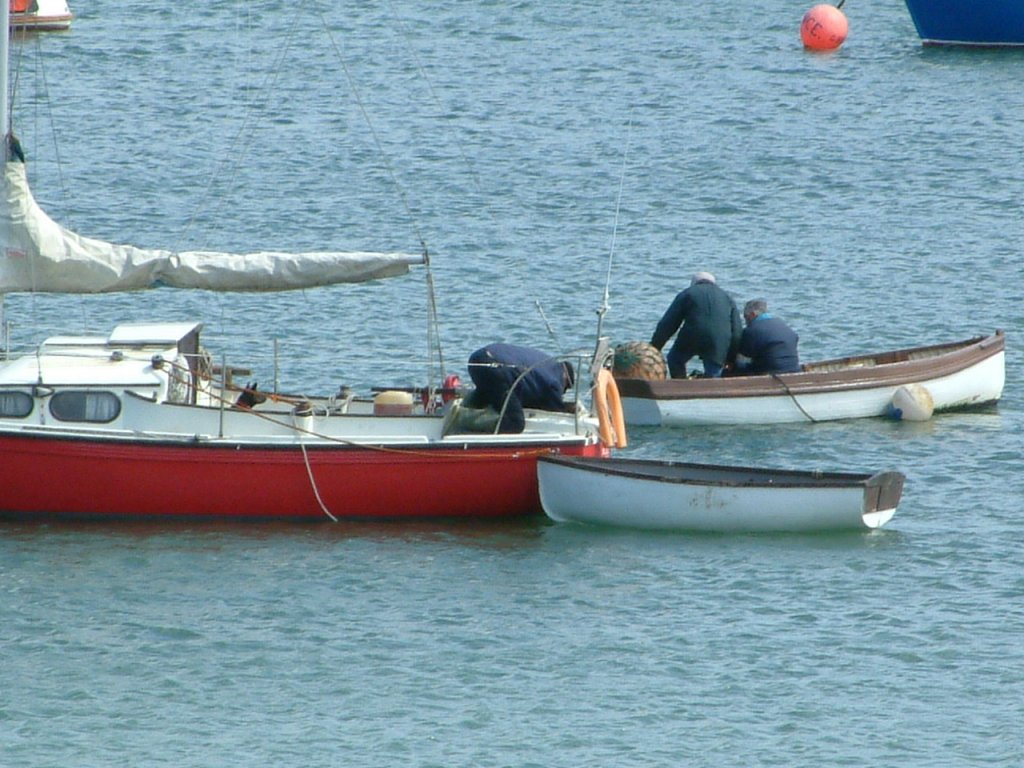 Click now to see this image full size.