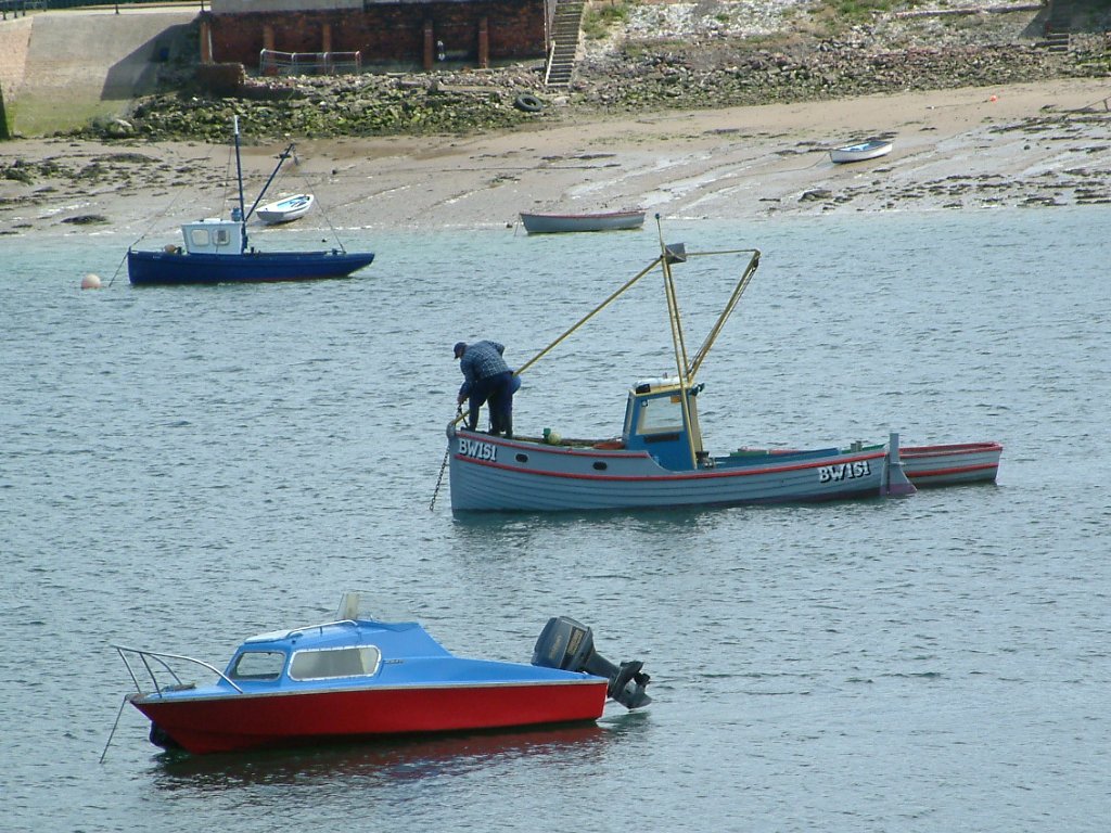 Click now to see this image full size.