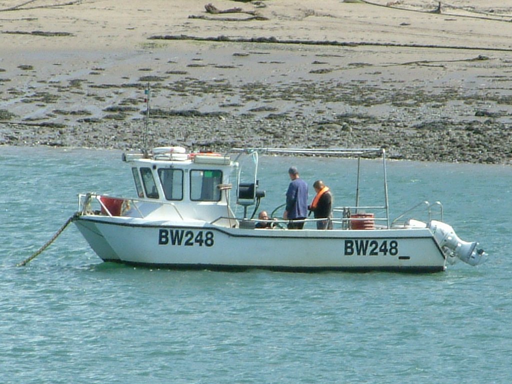 Click now to see this image full size.