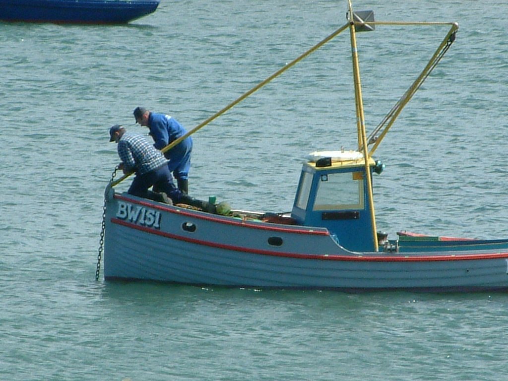 Click now to see this image full size.