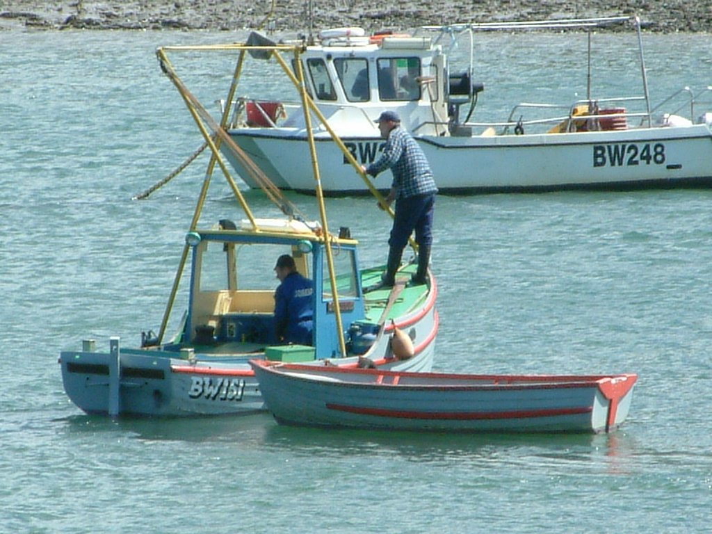 Click now to see this image full size.