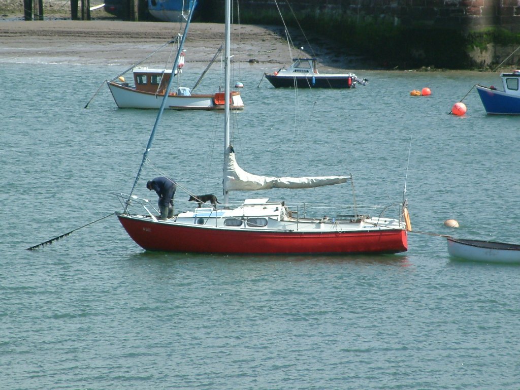 Click now to see this image full size.