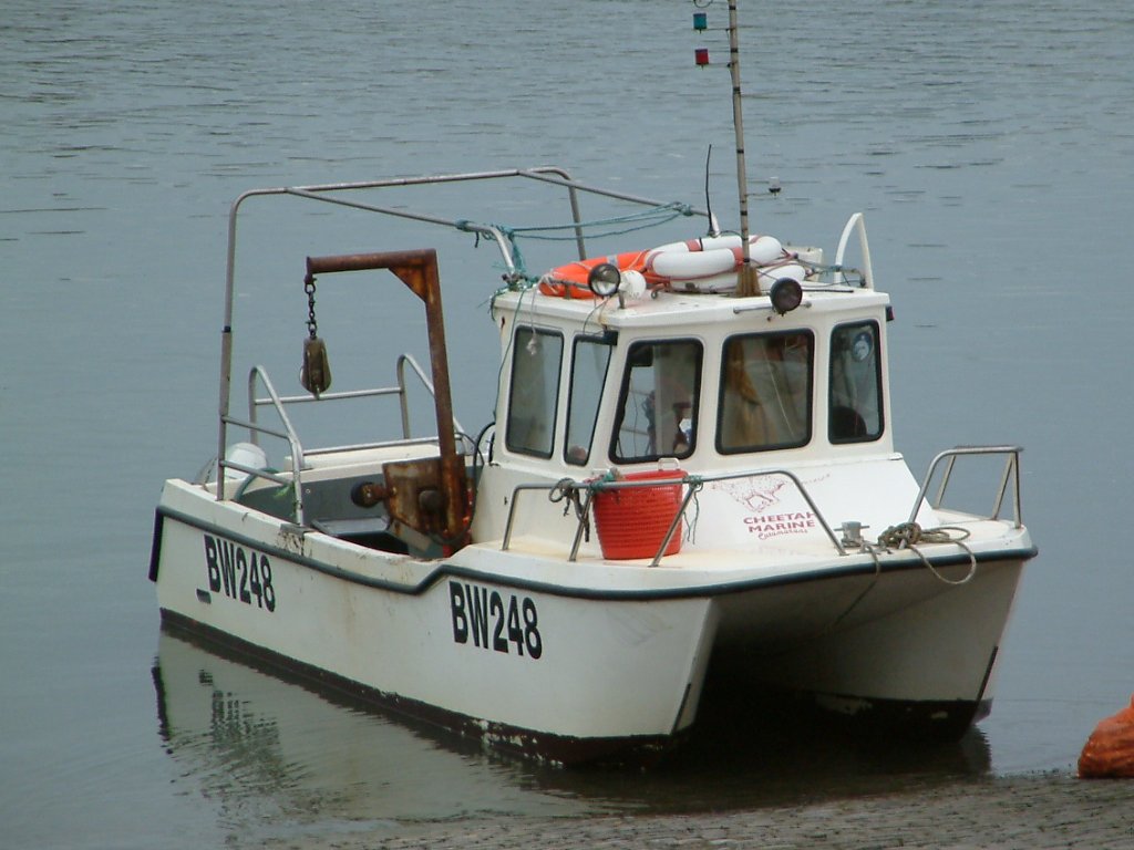 Click now to see this image full size.