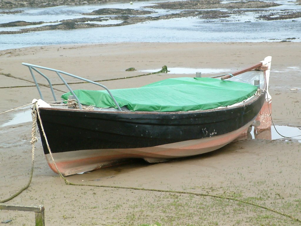 Click now to see this image full size.