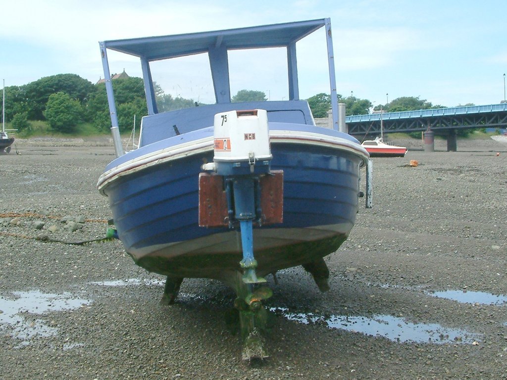 Click now to see this image full size.