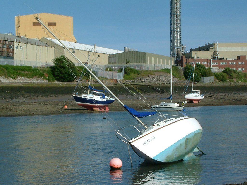 Click now to see this image full size.