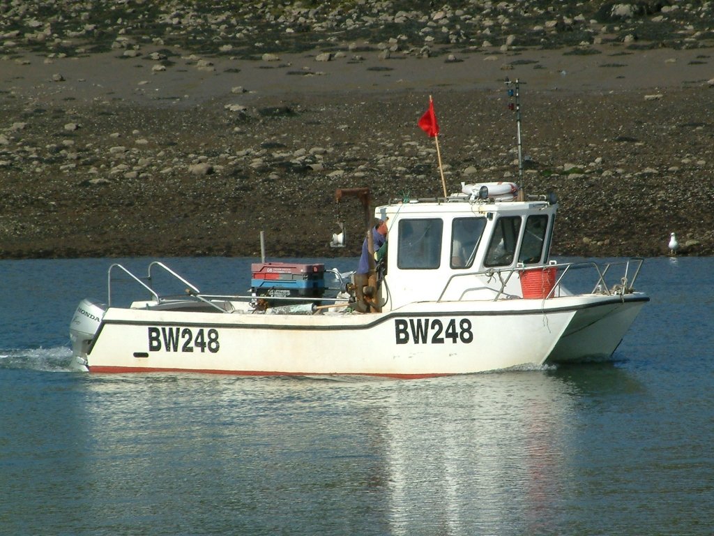 Click now to see this image full size.