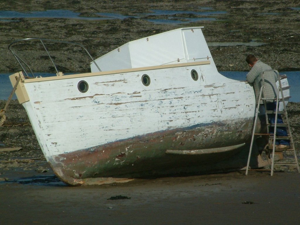 Click now to see this image full size.