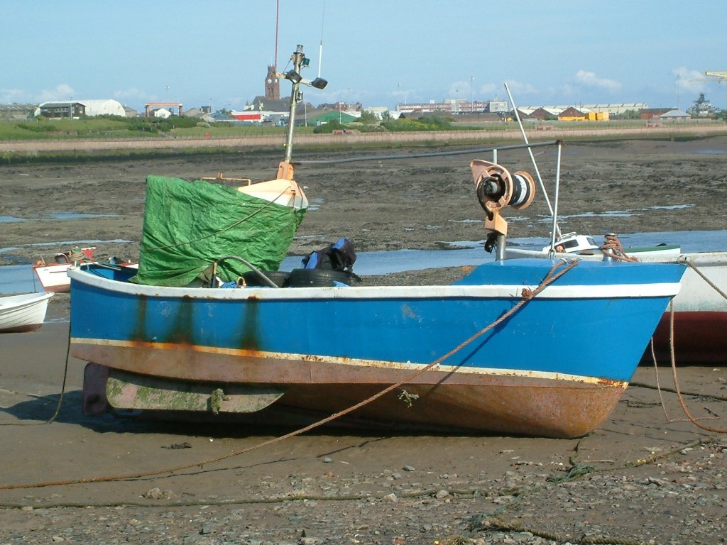 Click now to see this image full size.