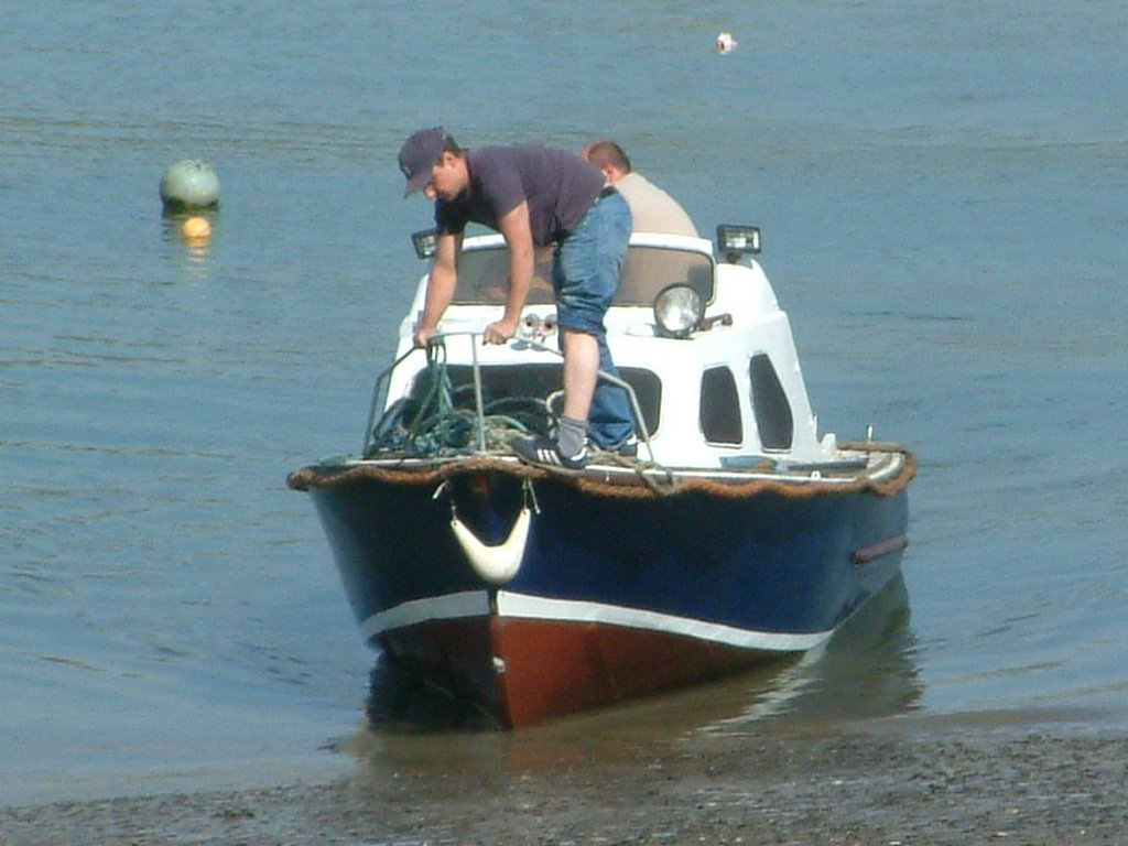 Click now to see this image full size.