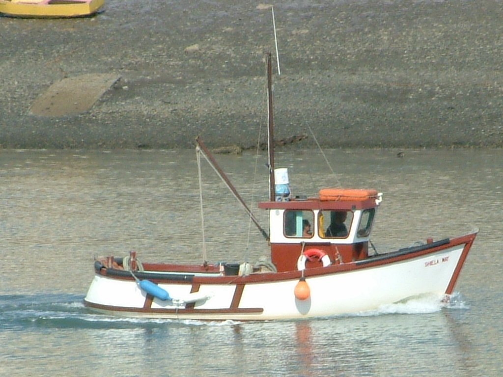 Click now to see this image full size.