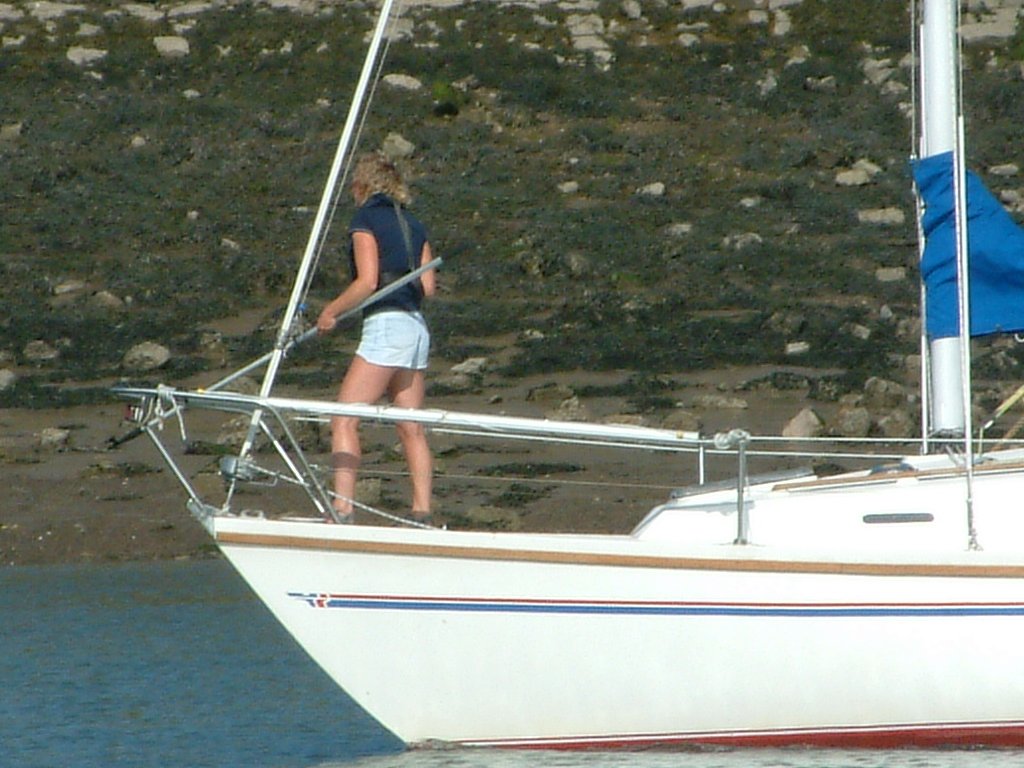 Click now to see this image full size.