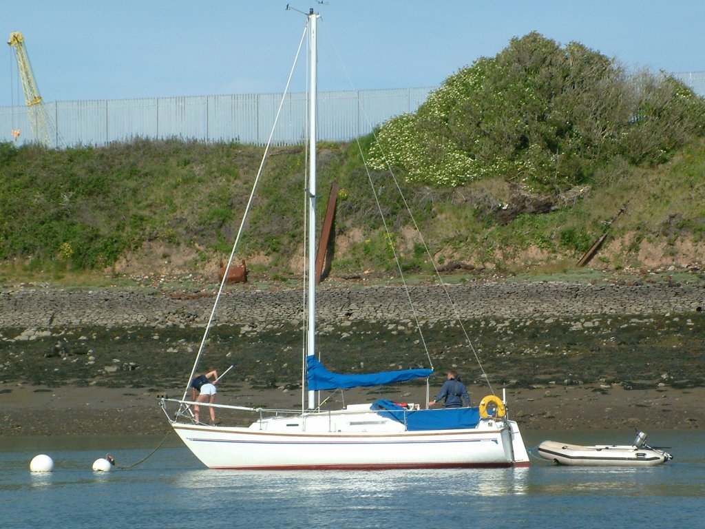 Click now to see this image full size.