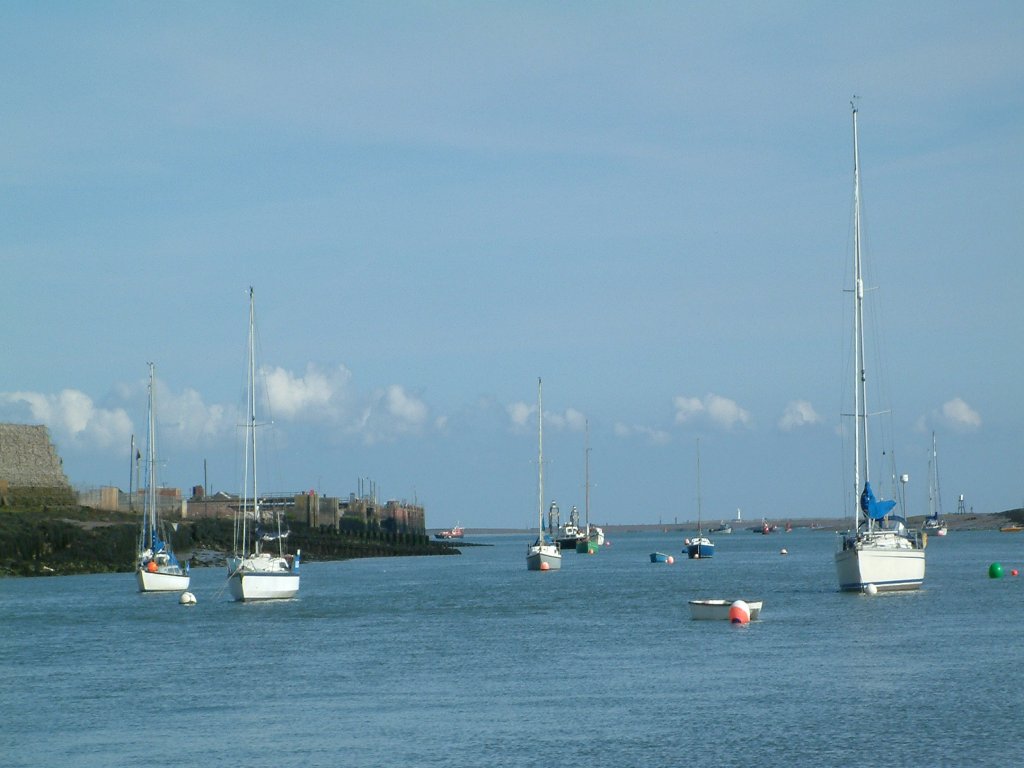 Click now to see this image full size.