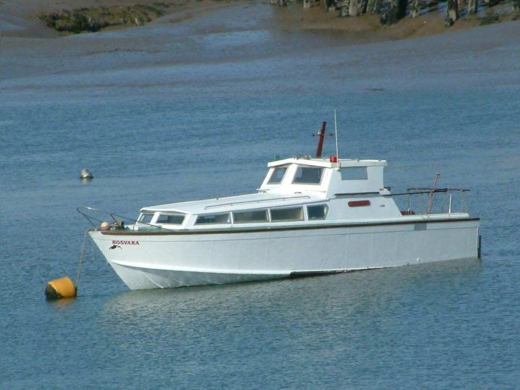 Click now to see this image full size.