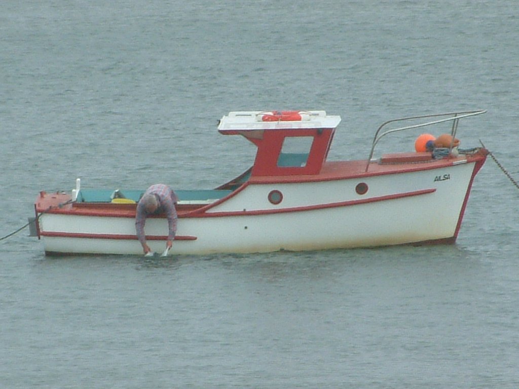 Click now to see this image full size.