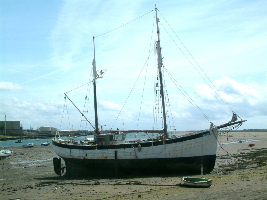 Click now to see this image full size.