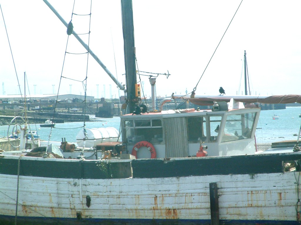 Click now to see this image full size.