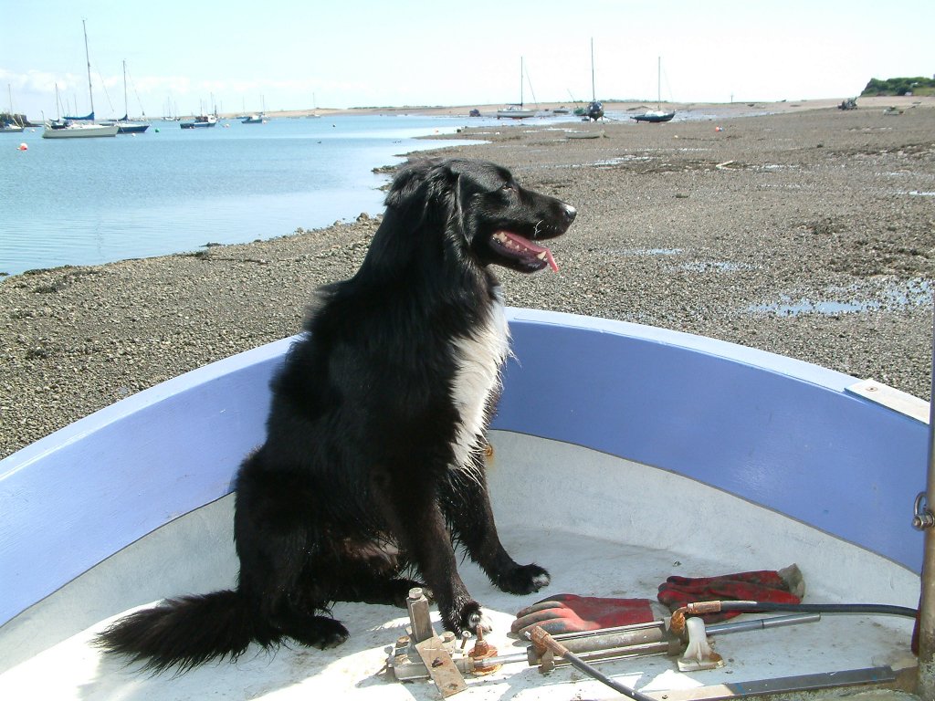 Click now to see this image full size.