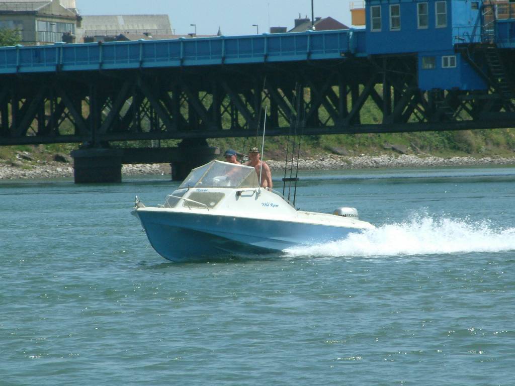 Click now to see this image full size.