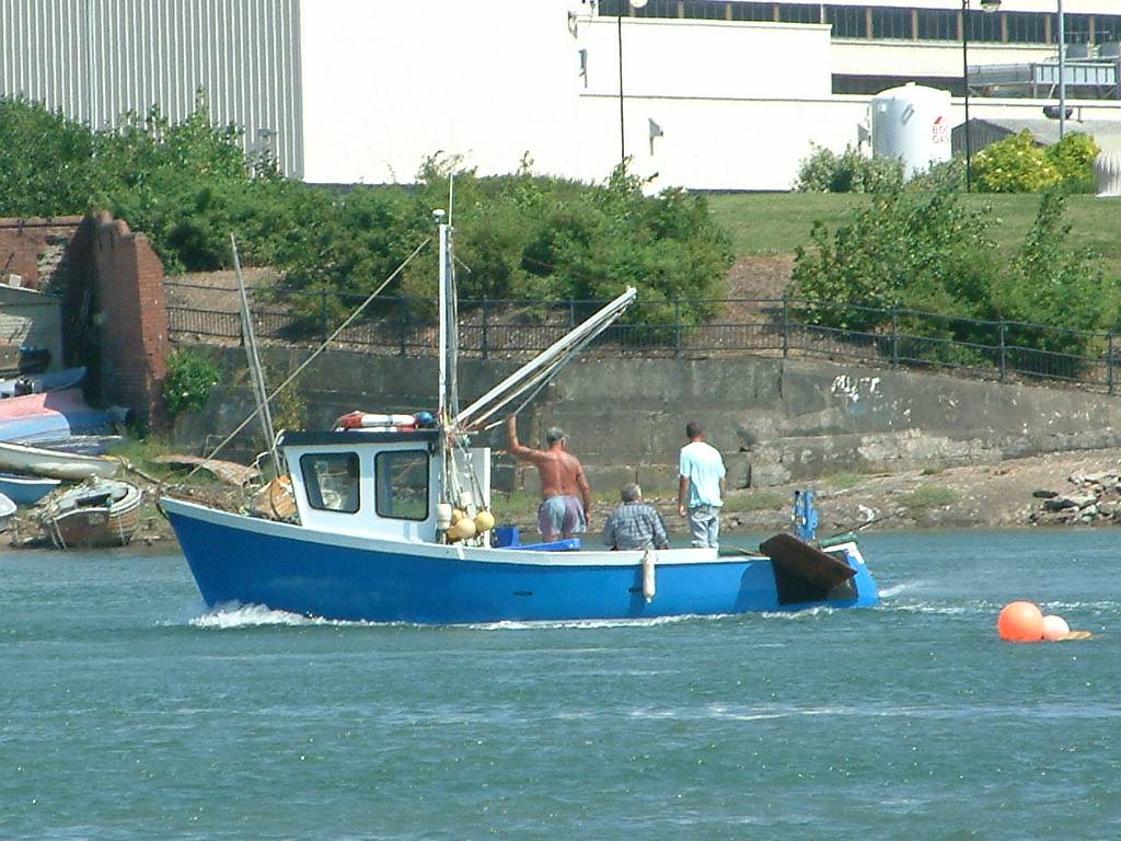 Click now to see this image full size.