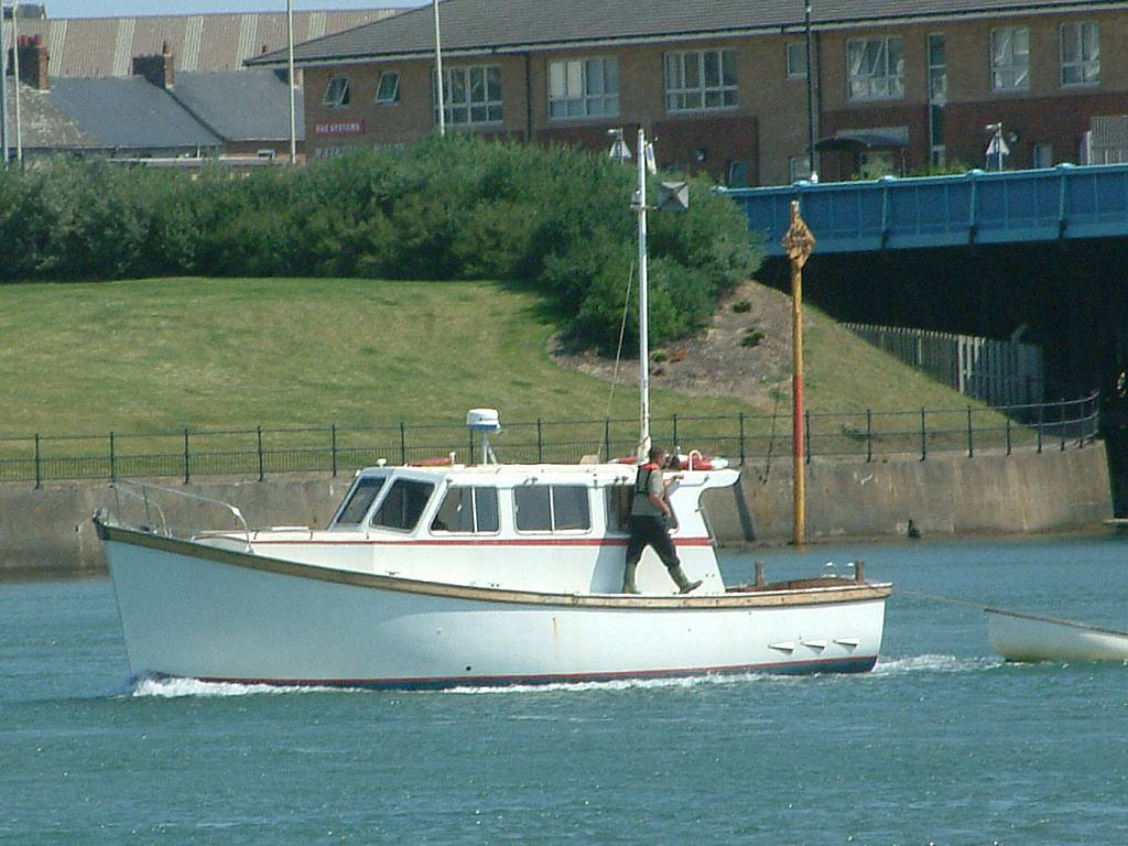 Click now to see this image full size.