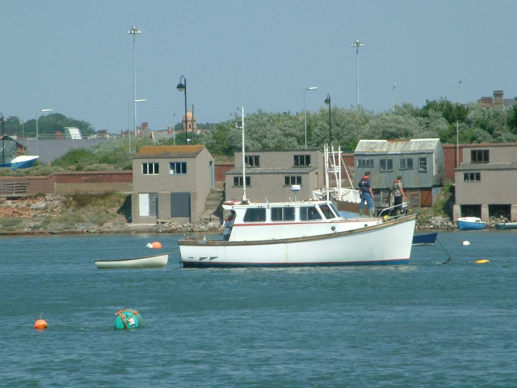 Click now to see this image full size.