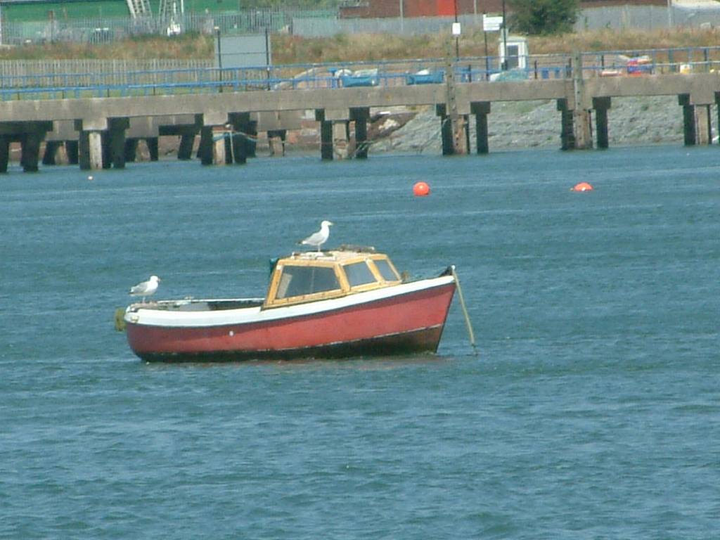 Click now to see this image full size.