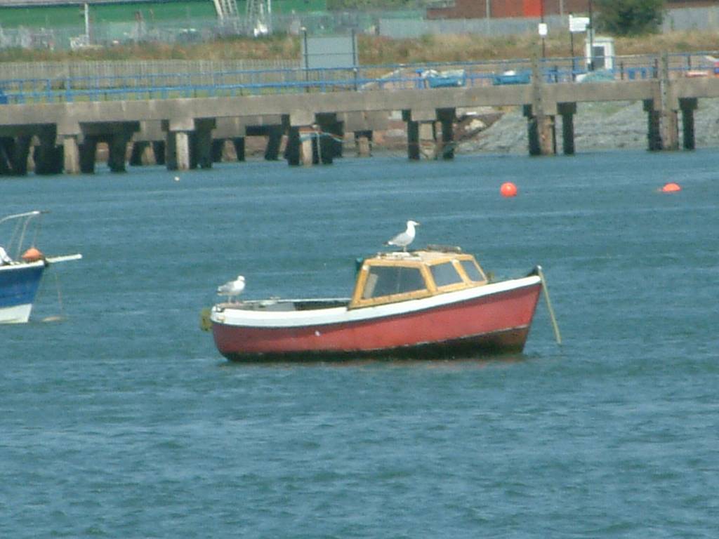 Click now to see this image full size.